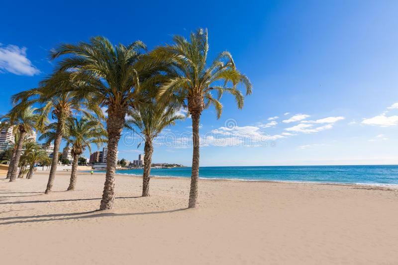 Piso Vacacional San Juan (Alicante) Exterior foto